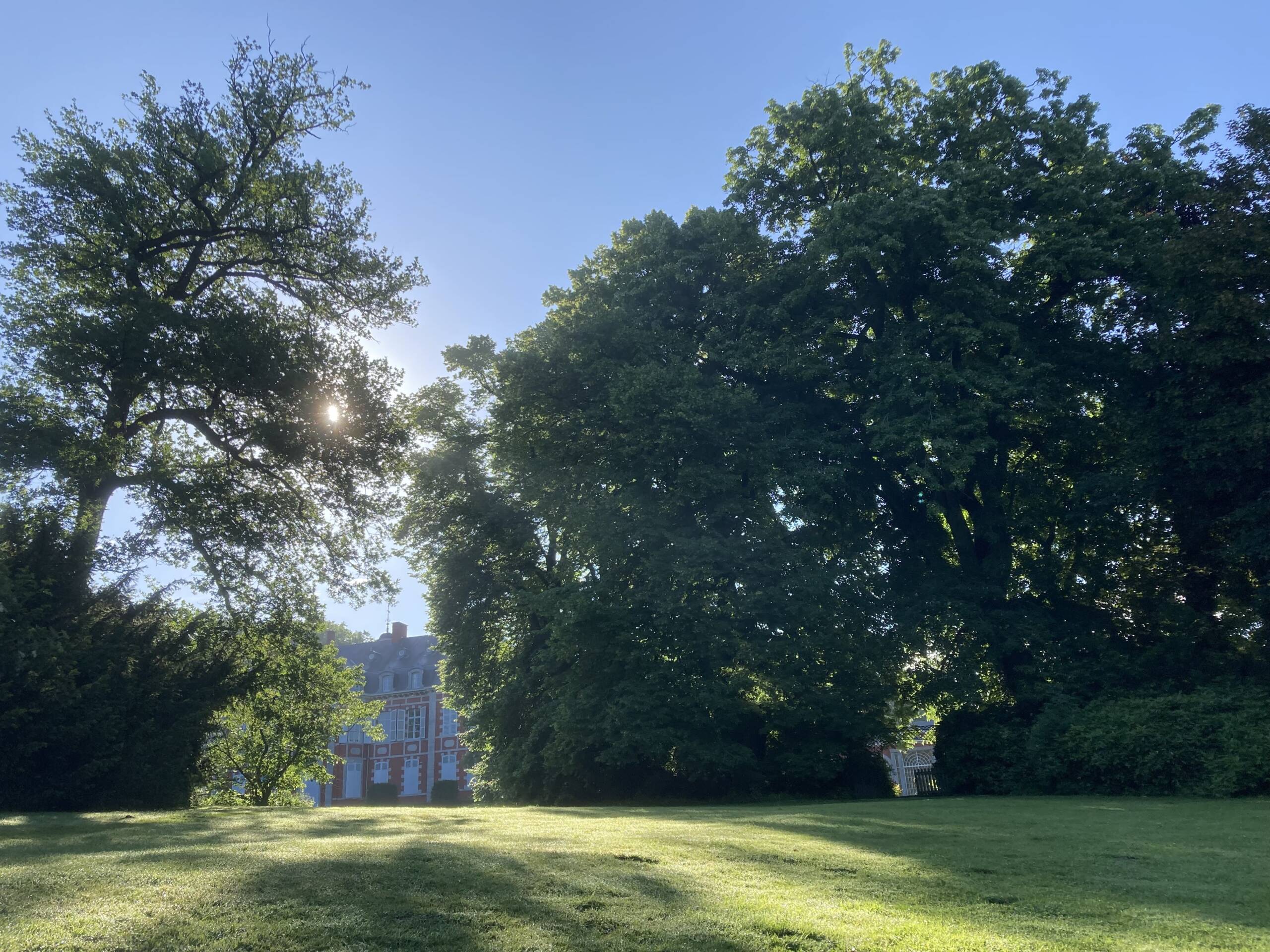 Vue arrière château perspective ouest rosée du matin à contre-jour-min