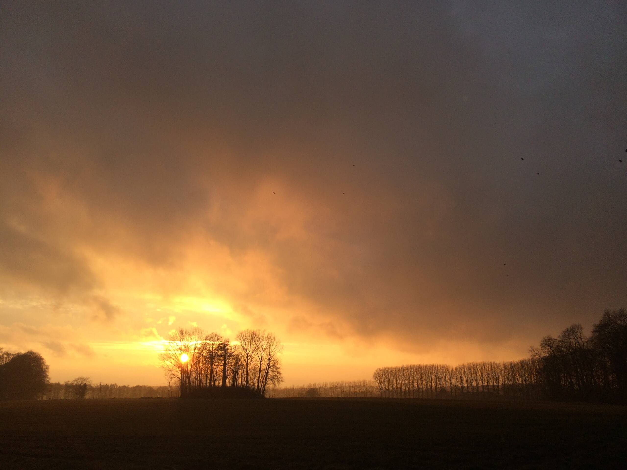 vue sur les environs du château au coucher du soleil - la motte-min