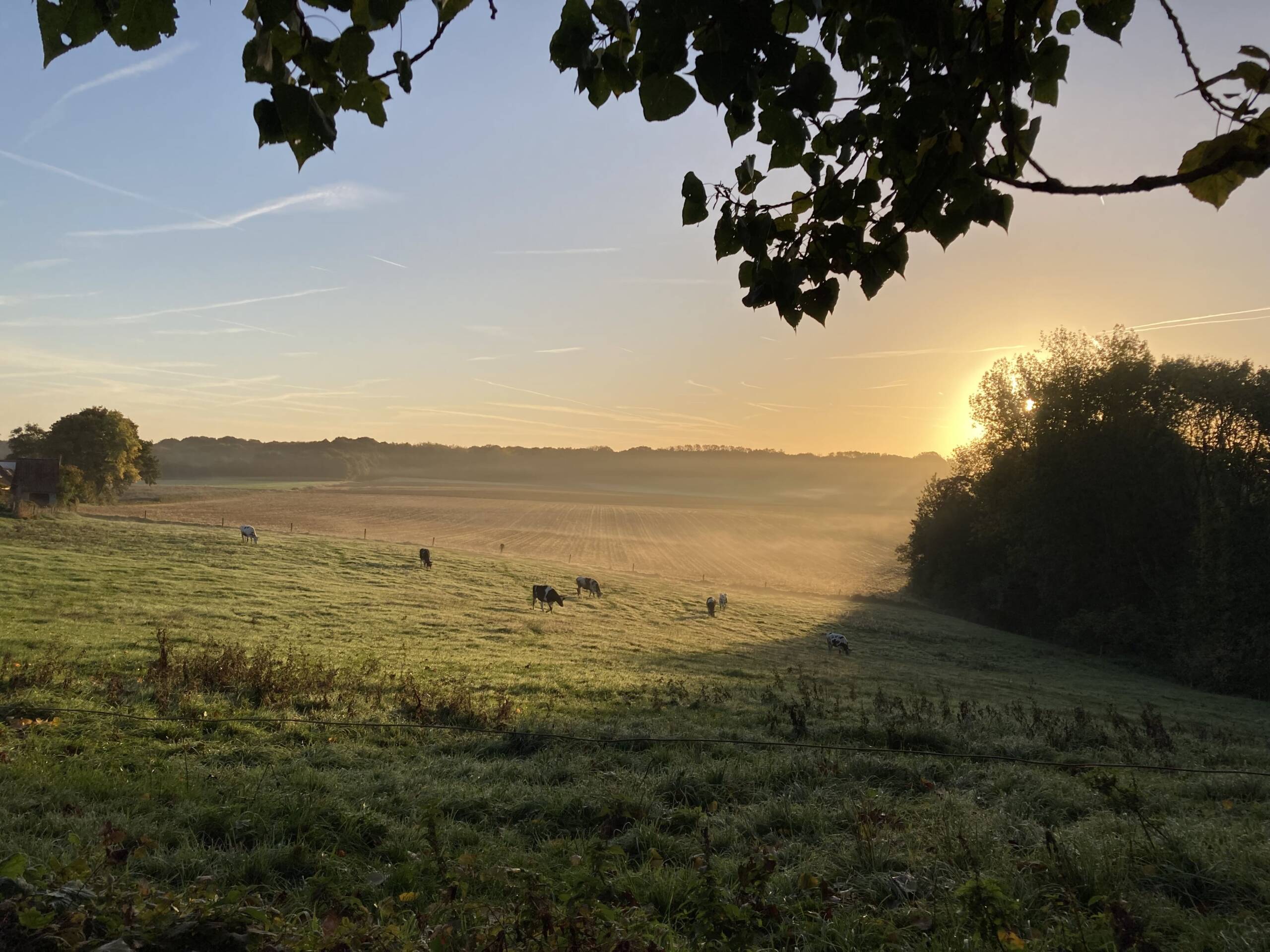 vue sur les environs du château au lever du jour-min